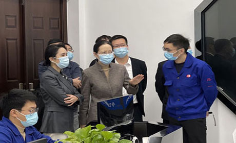 新聞丨金華市人大常委會(huì )副主任姜玉芳一行蒞臨今飛集團飛揚小鎮項目現場(chǎng)參觀(guān)調研